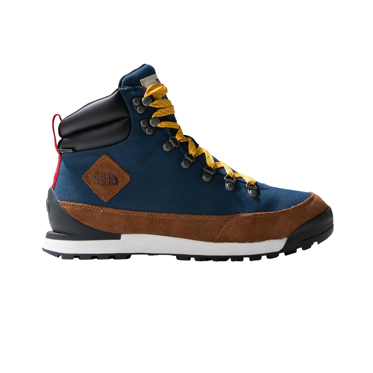 TNF BACK TO Berkeley IV WP Mens Blue