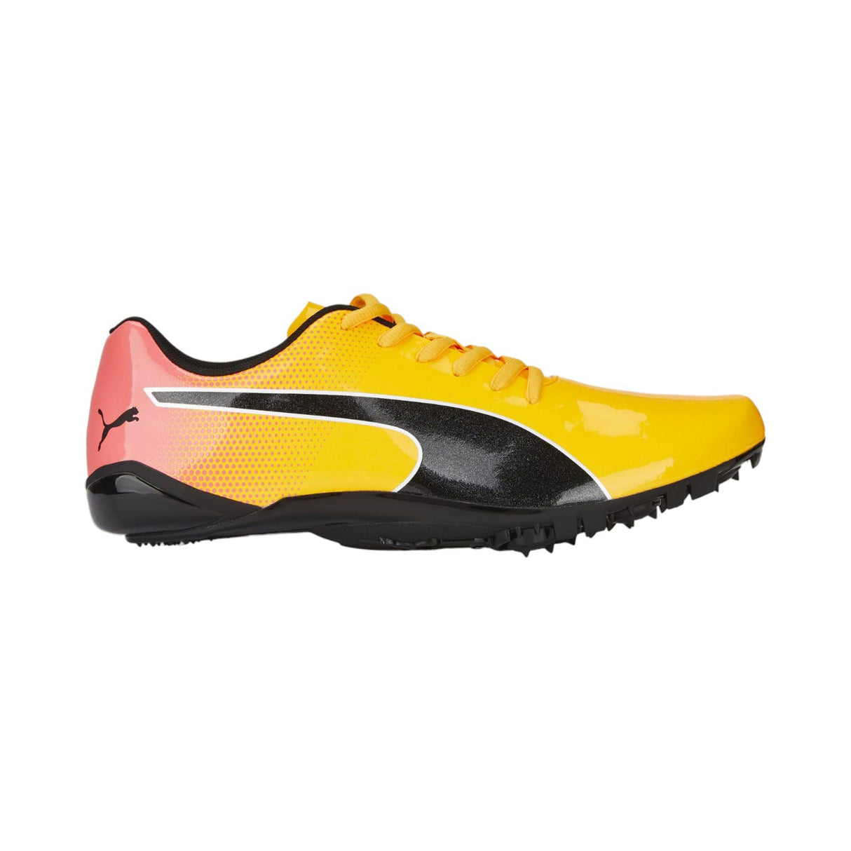 Puma PUMA Caven 2.0 Lux SD Sneakers