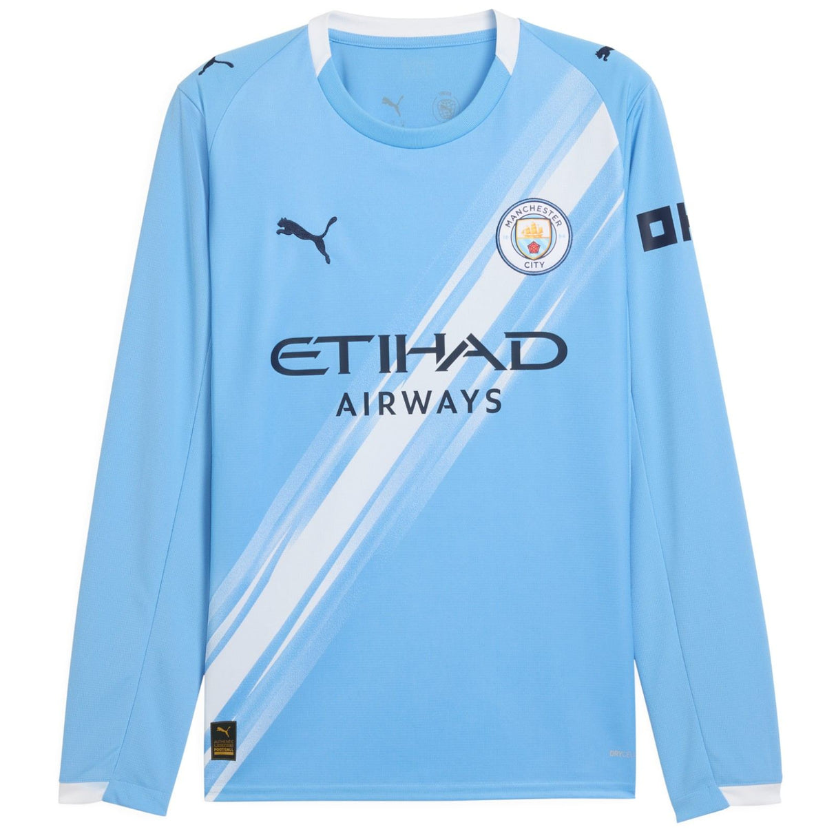 Puma Manchester City Football 2025/26 Adults Home Jersey