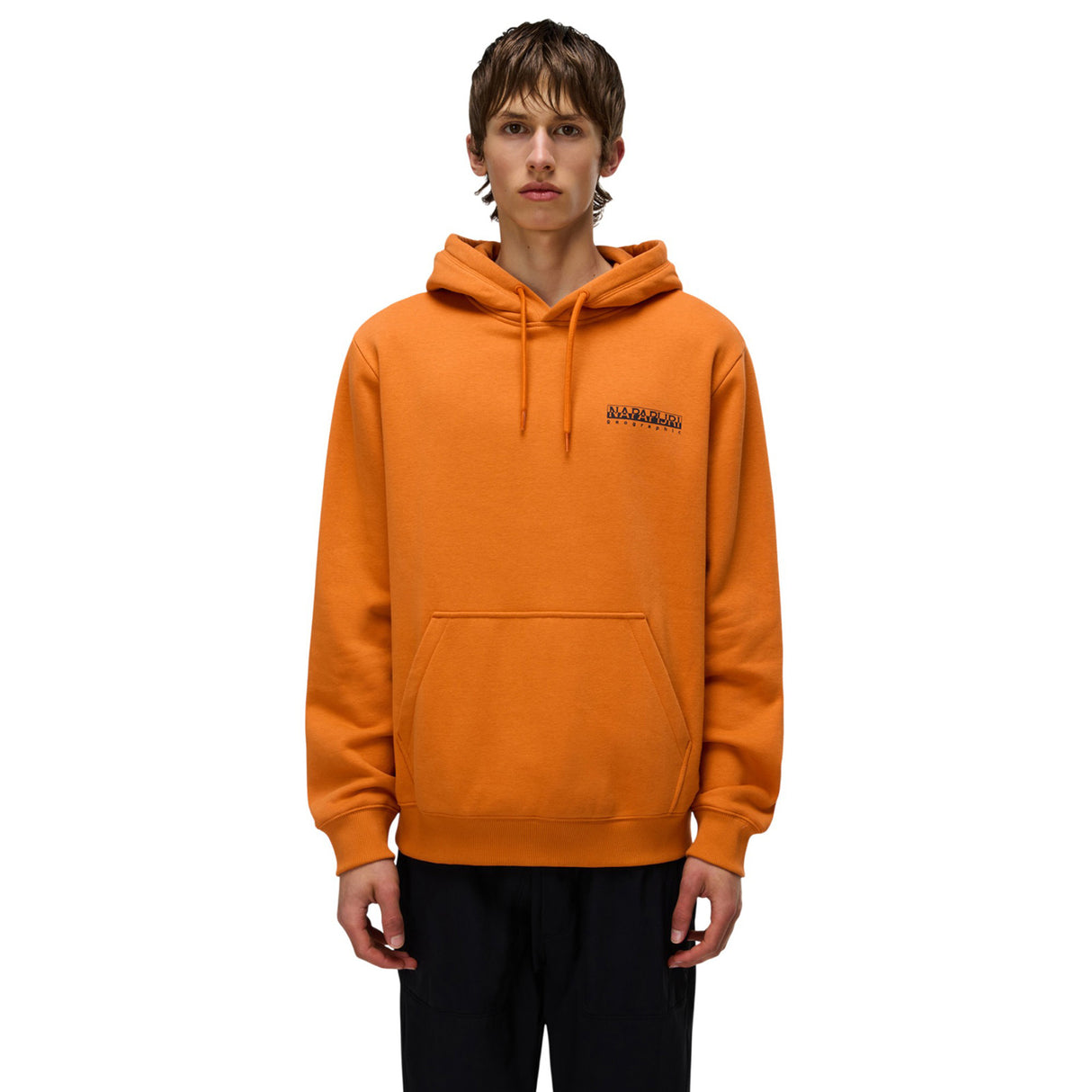 Napapijri B-Guide Mens Hoodie
