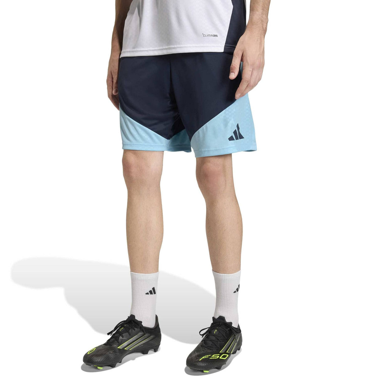 adidas Argentina FC Football World Cup 2026 Tiro Training Shorts