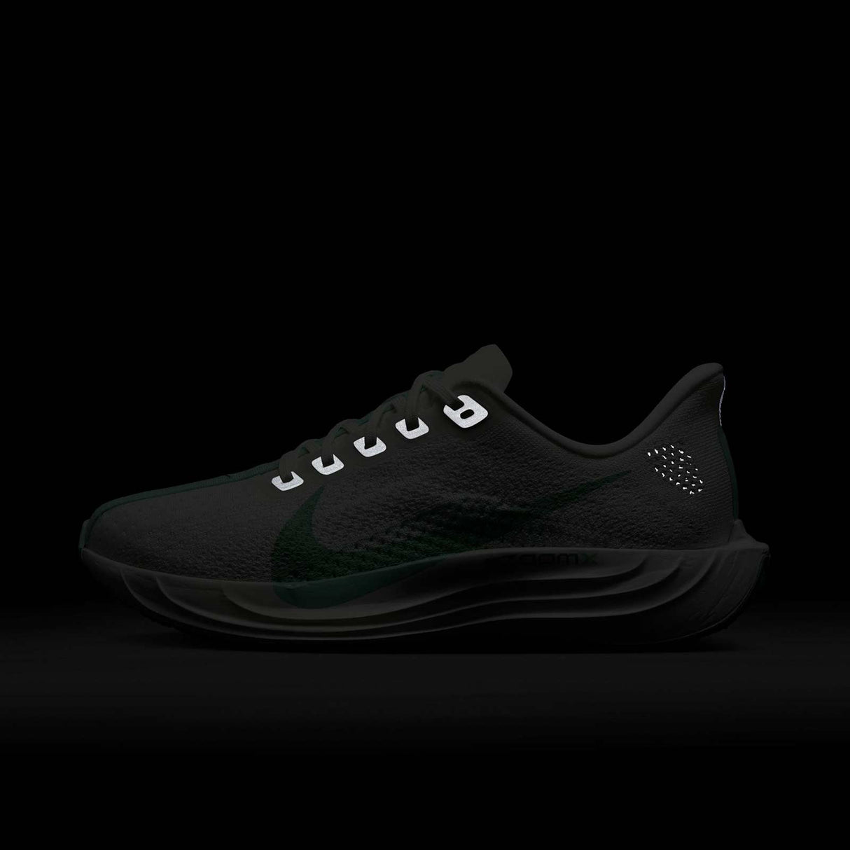 Nike Pegasus Plus Womens Road Running Shoes