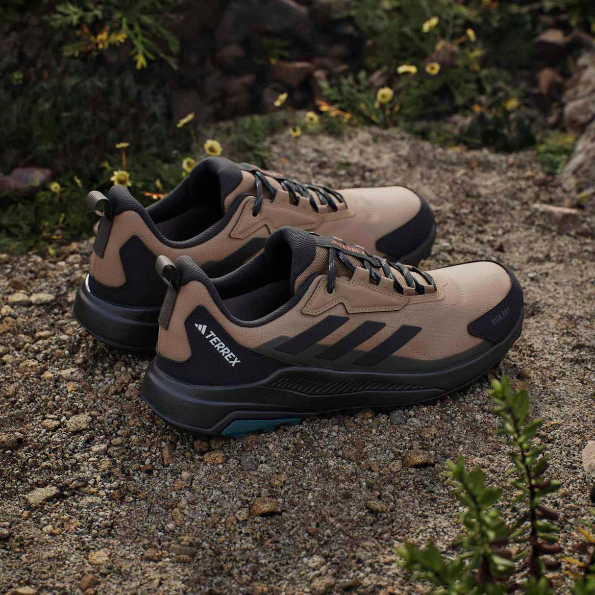 adidas Mens Terrex Anylander RDY Brown