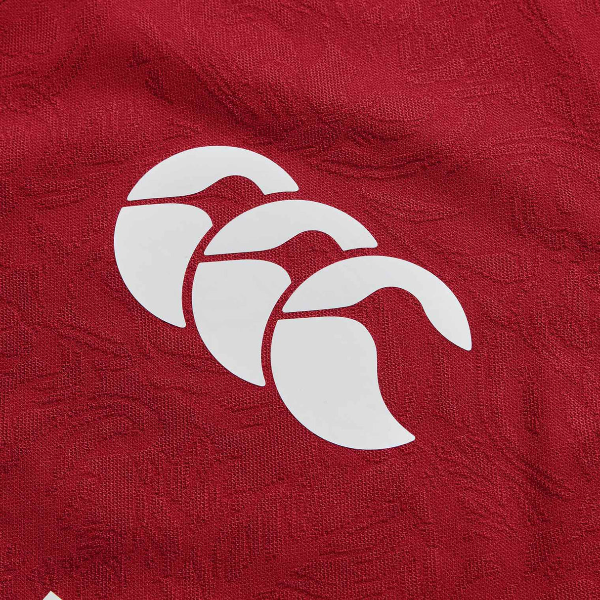 Canterbury British & Irish Lions Rugby 2024/25 Unisex Short Sleeved Replica Jersey Close-Up CCC Branding View