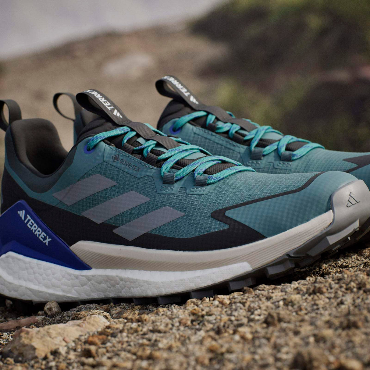 adidas Terrex Free Hiker 2.0 Low Gore-Tex Mens Hiking Shoes