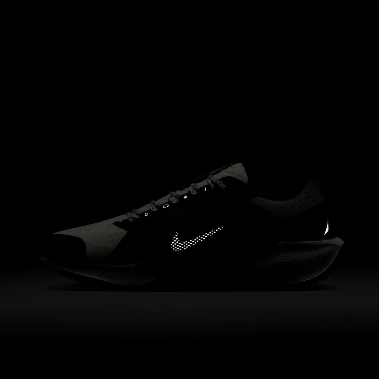 Nike Mens Pegasus 41 GTX Grey