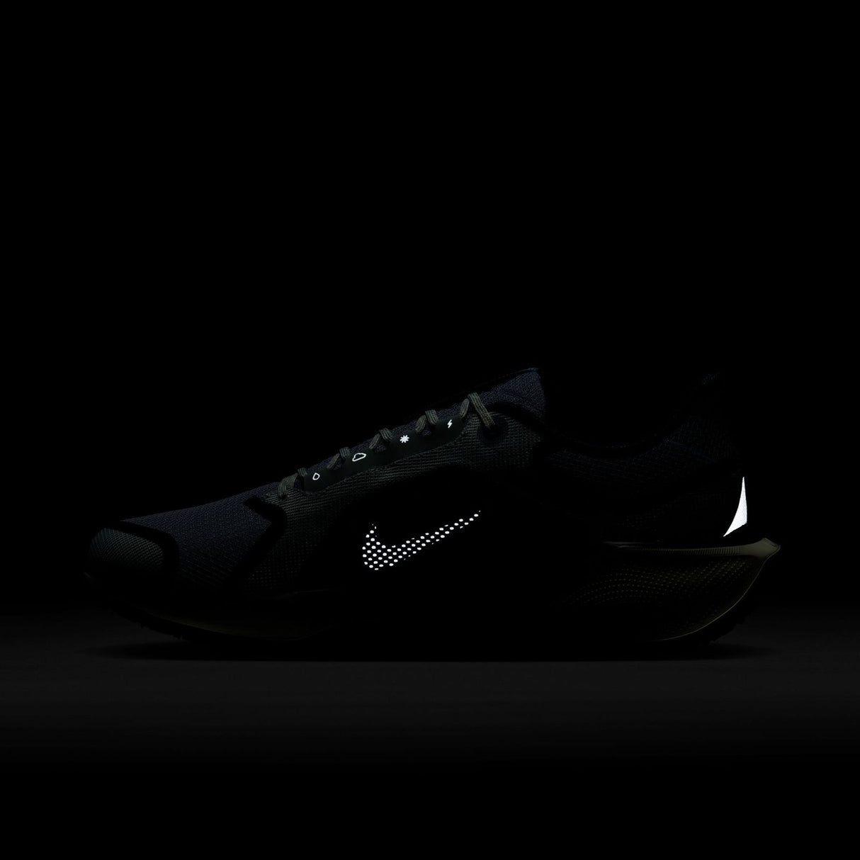 Nike Mens Pegasus 41 GTX Grey