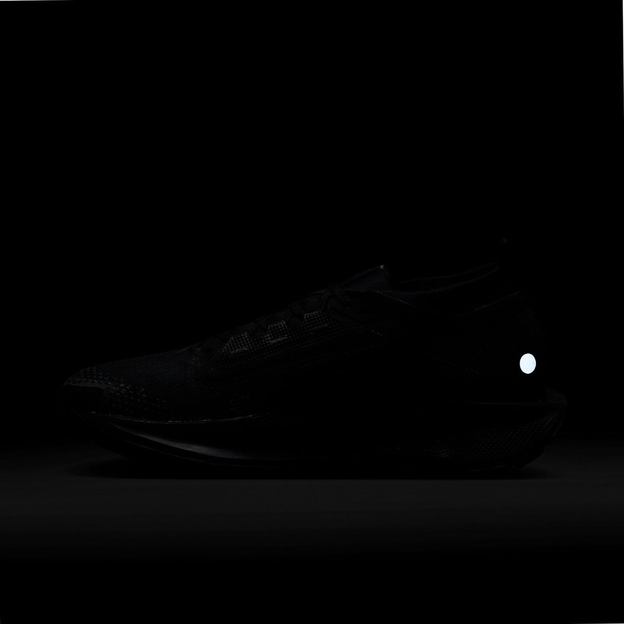 Nike Pegasus Trail 5 GORE-TEX Mens Waterproof Trail Running Shoes