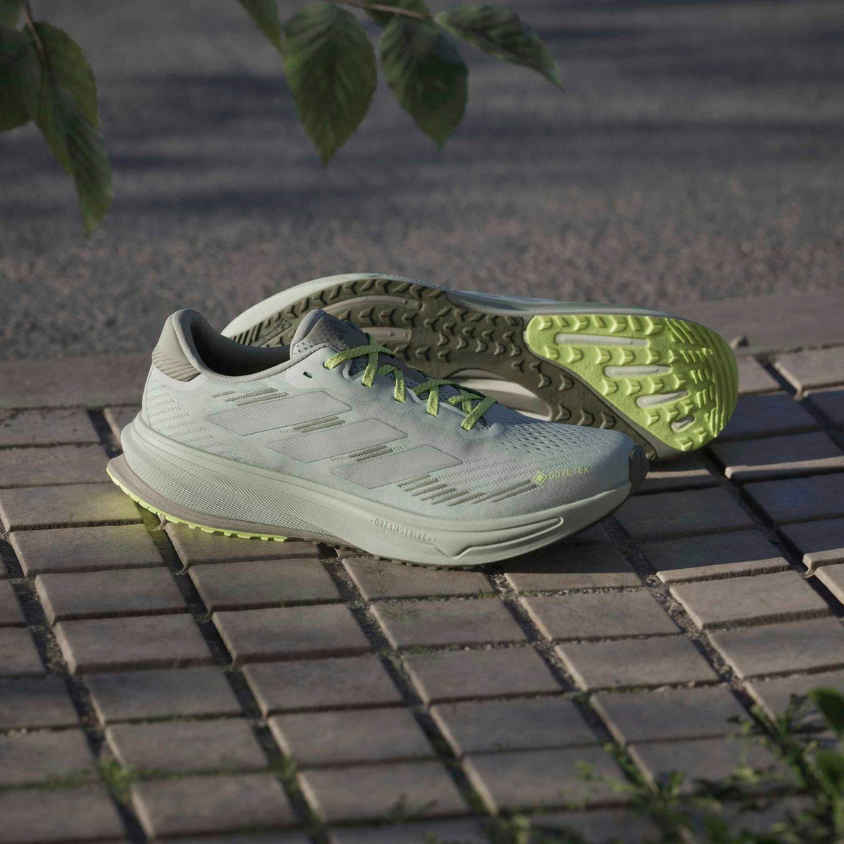 adidas Mens SUPERNOVA RISE GTX M Grey