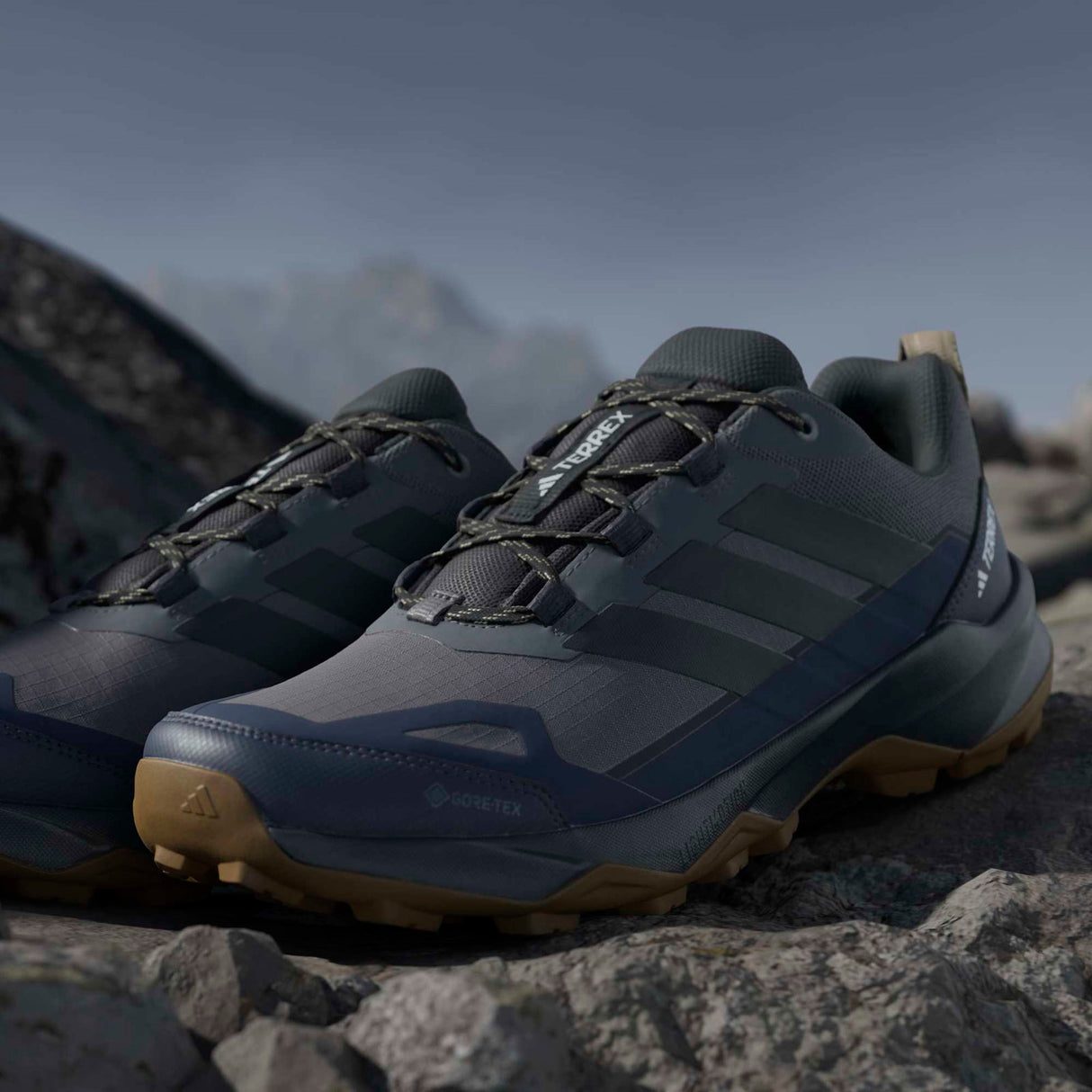 adidas Terrex Skychaser AX5 GTX 0 Grey