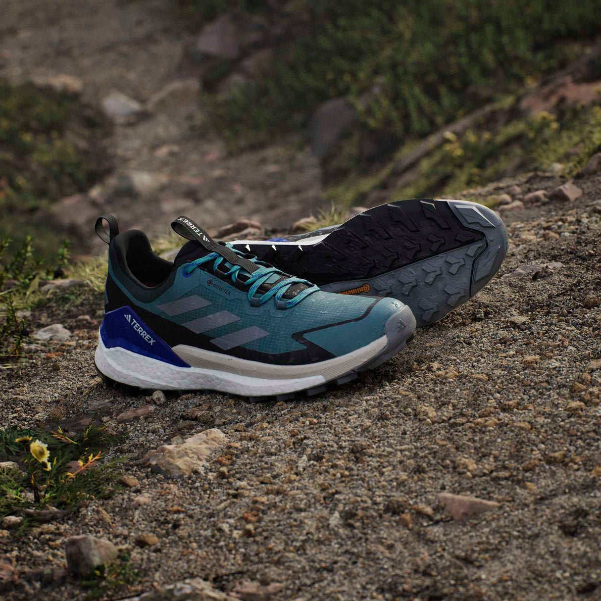 adidas Terrex Free Hiker 2.0 Low Gore-Tex Mens Hiking Shoes