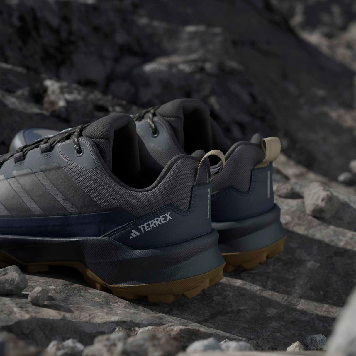 adidas Terrex Skychaser AX5 GTX 0 Grey