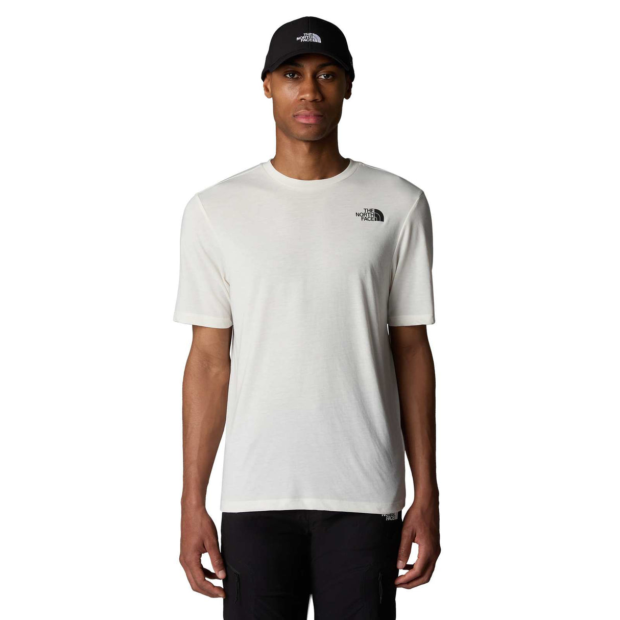 The North Face Foundation Mountain Faces Mens T-Shirt