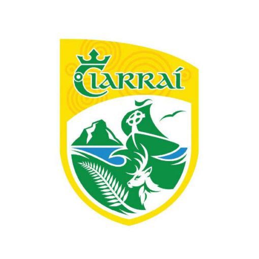 TCF Kerry GAA Handheld Flag