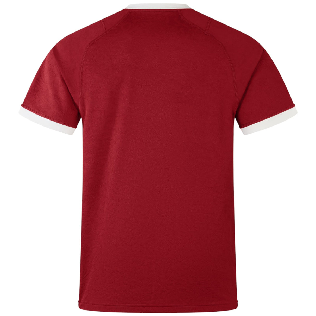 Canterbury British & Irish Lions Rugby 2024/25 Unisex Short Sleeved Replica Jersey Back View