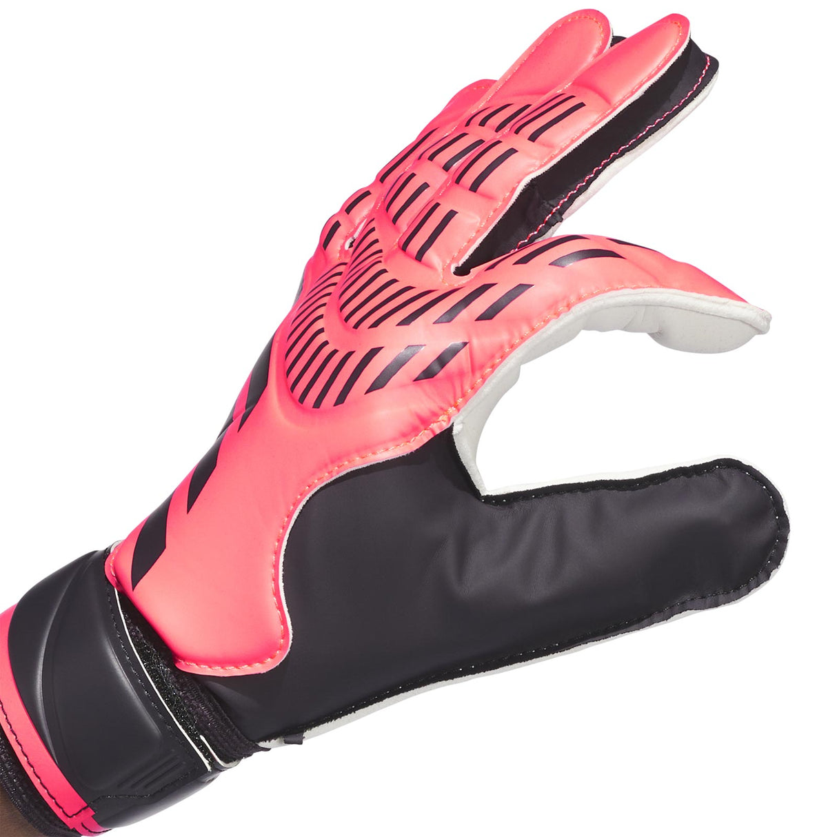 adidas Predator Goalkeeper Training Gloves