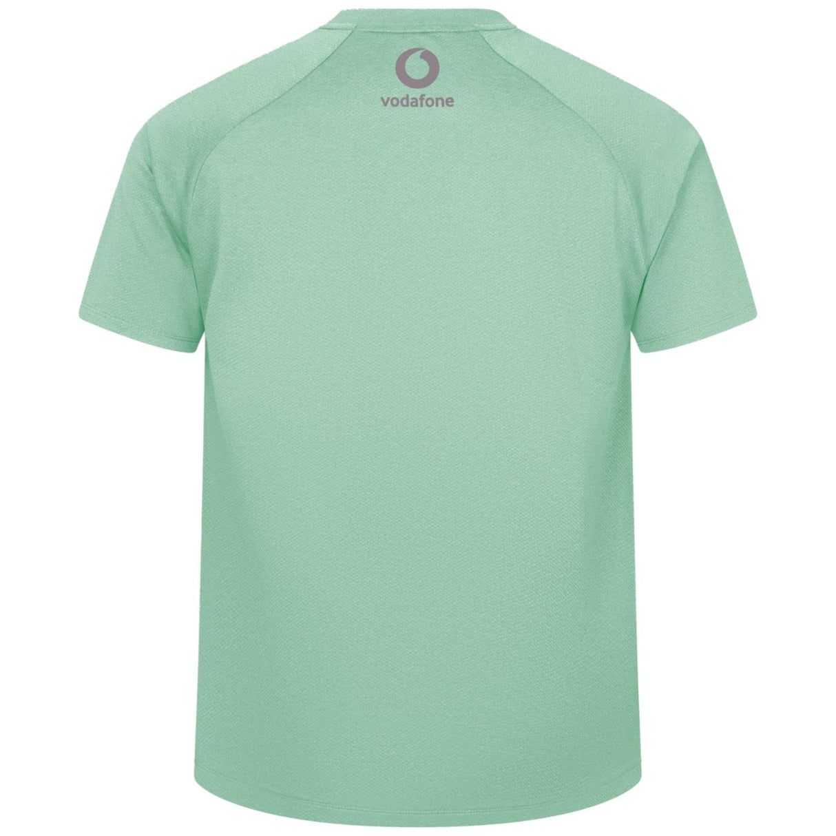 Canterbury IRFU Ireland Rugby Summer Tour 2025/26 Mens Elite Training T-Shirt Back View