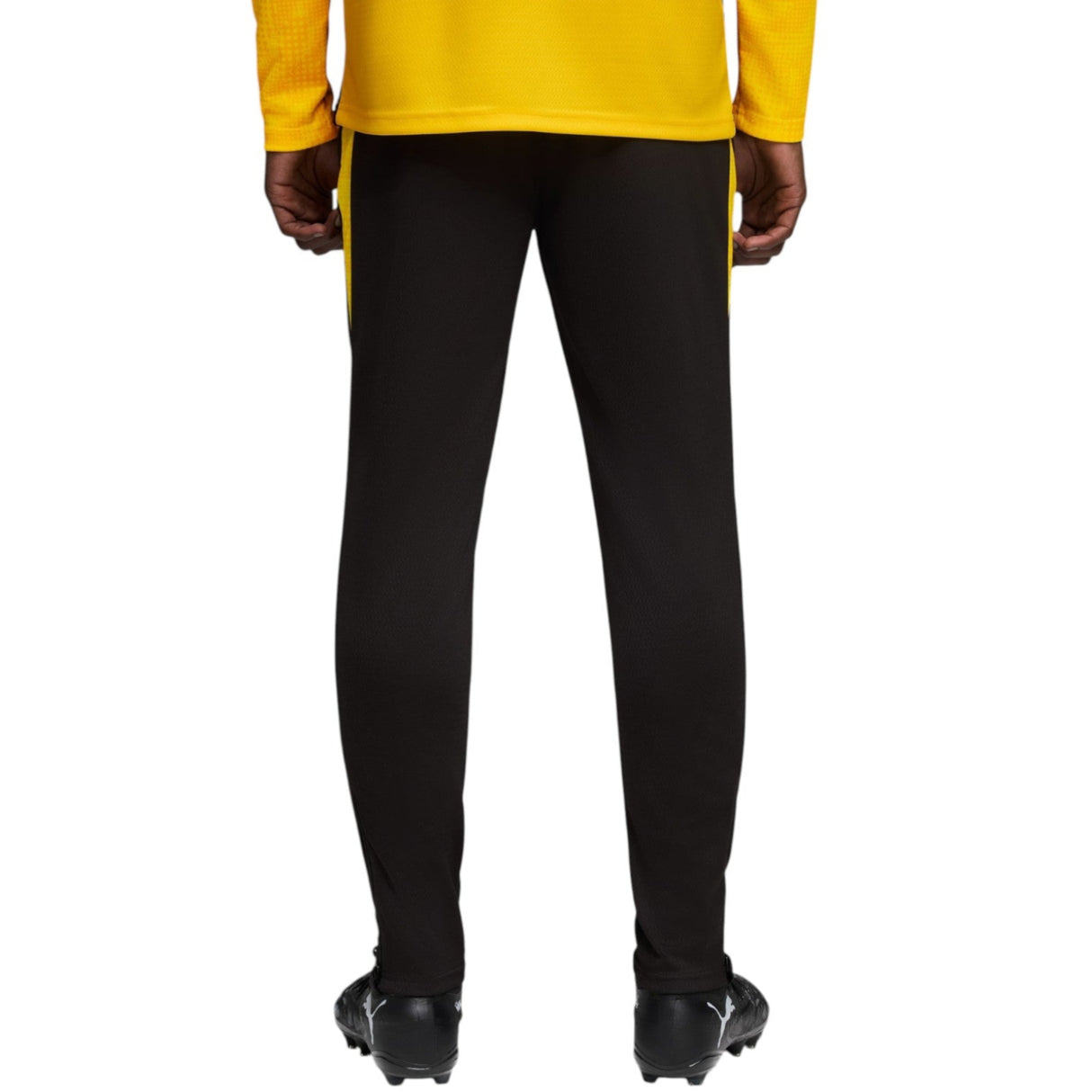 Puma Borussia Dortmund Football 2025/26 Adults Training Pant
