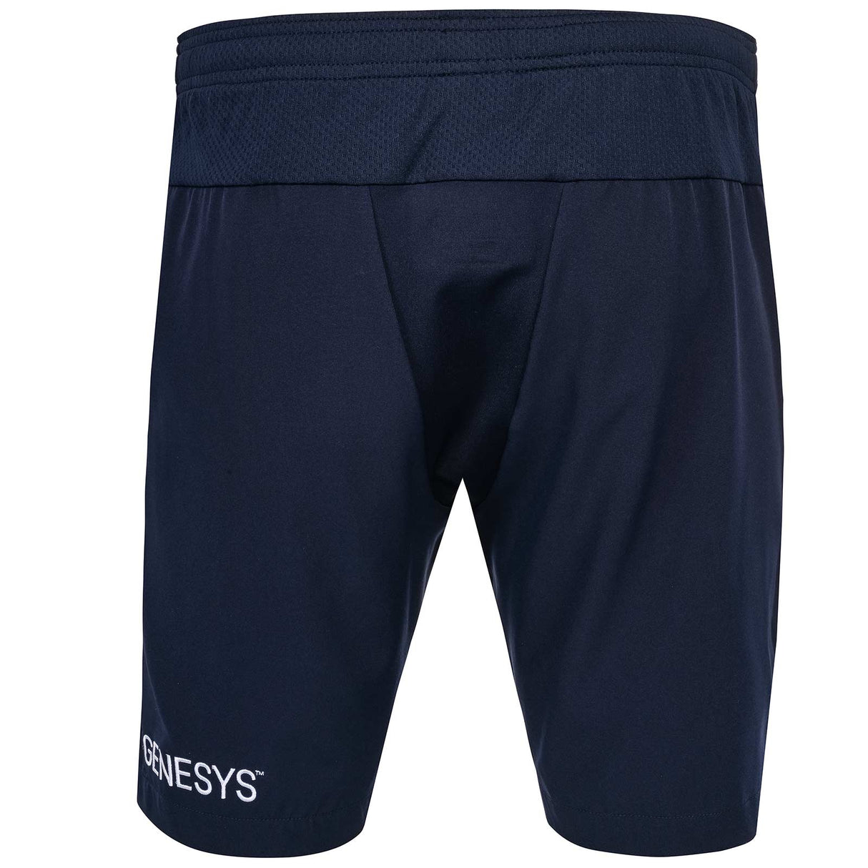 Macron Connacht Rugby 2025/26 Mens Bermuda Training Short Back View