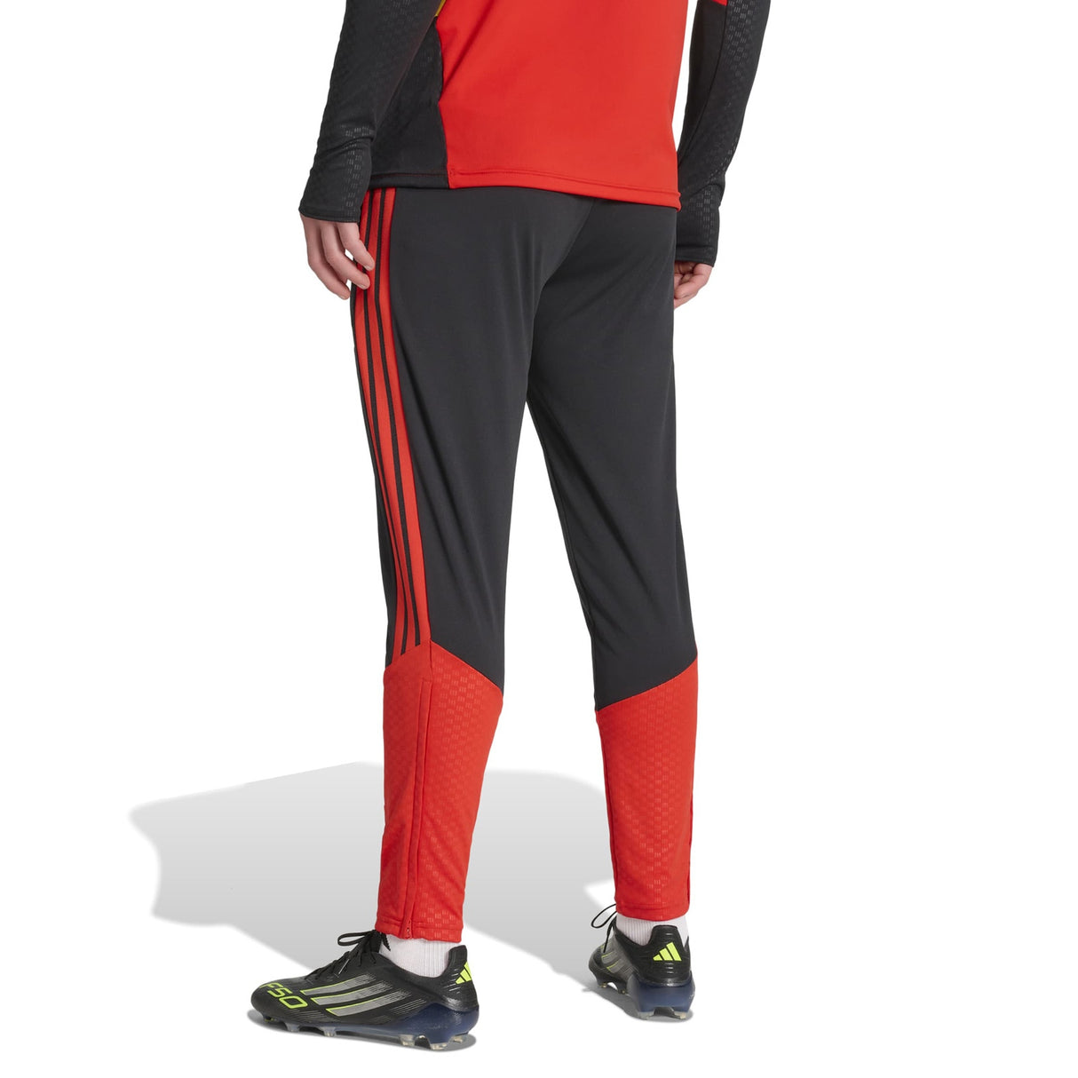 adidas Belgium Football World Cup 2026 Adults Training Pants