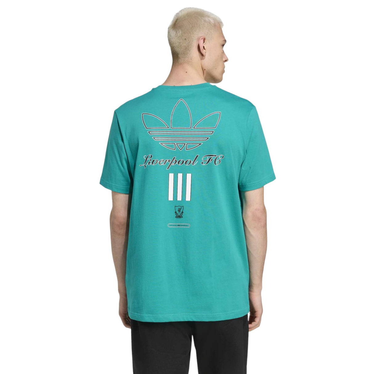 adidas Liverpool Football 2025/26 Adults Graphic T-Shirt
