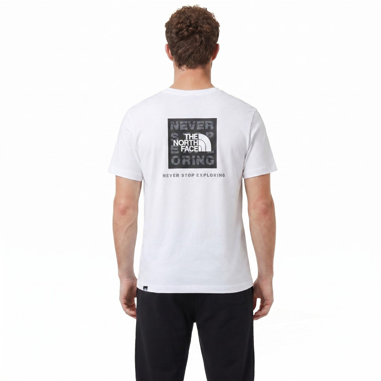 The North Face Blanca Box Logo Regular-Fit Mens T-Shirt
