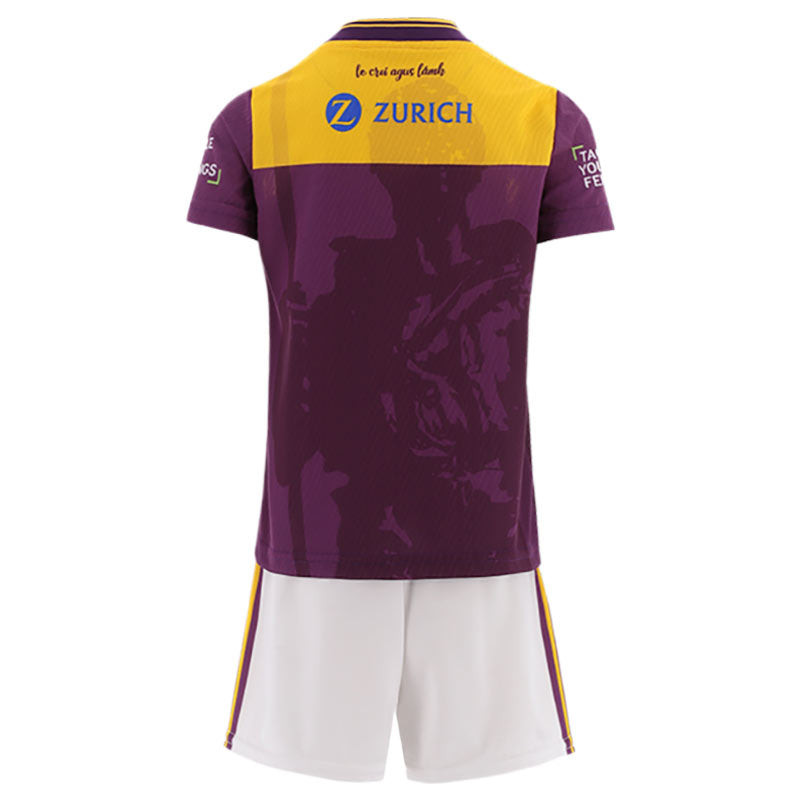 O'Neills Wexford GAA 2026 Home Infant Kit