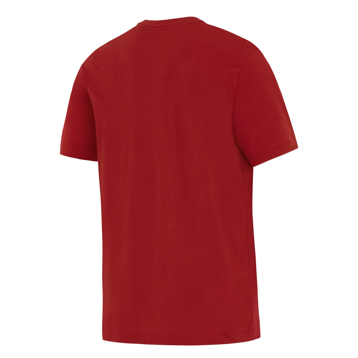 Nike British & Irish Womens Lions Rugby Evergreen Mens T-Shirt