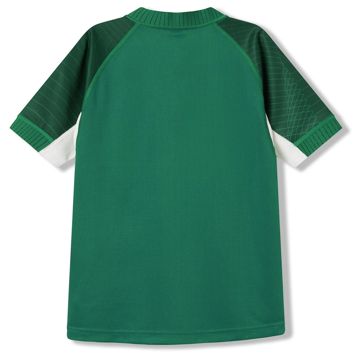 Canterbury IRFU Ireland Rugby 2026 Mens Home Pro Jersey