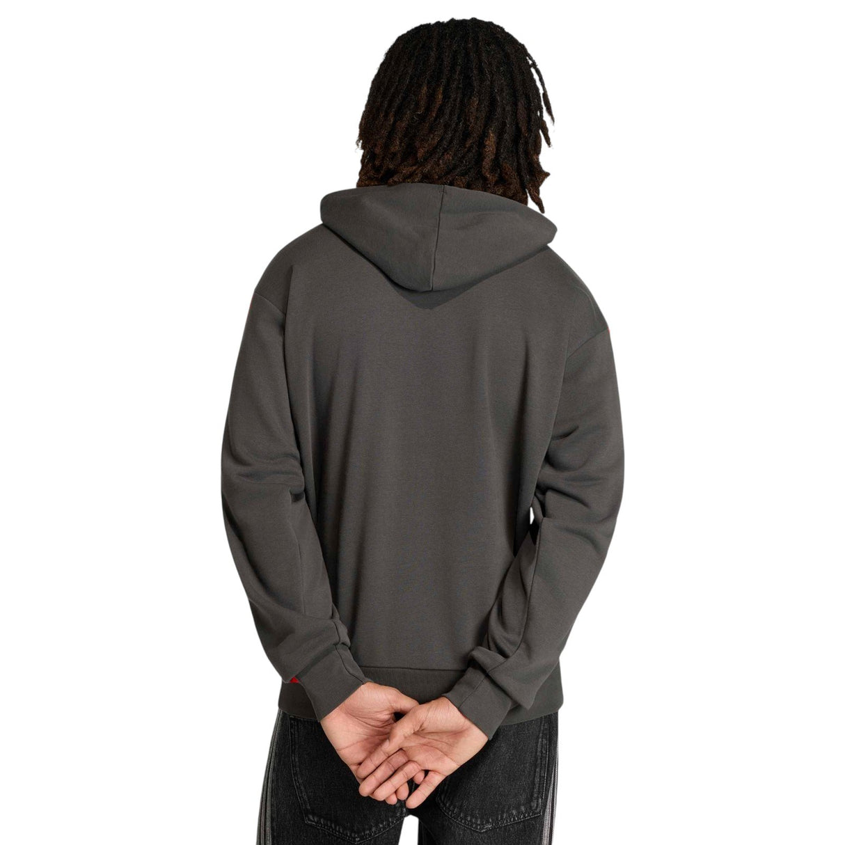 adidas Audi Formula 1 Motorsport DNA Adults Hoodie
