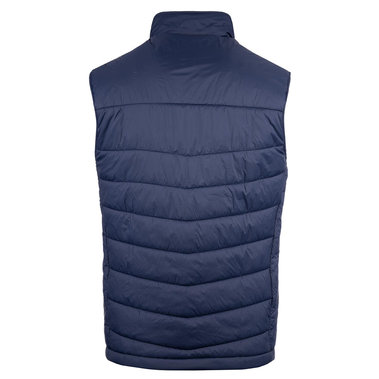 Irish Society Of Chartered Physiotherapists Adults Gilet