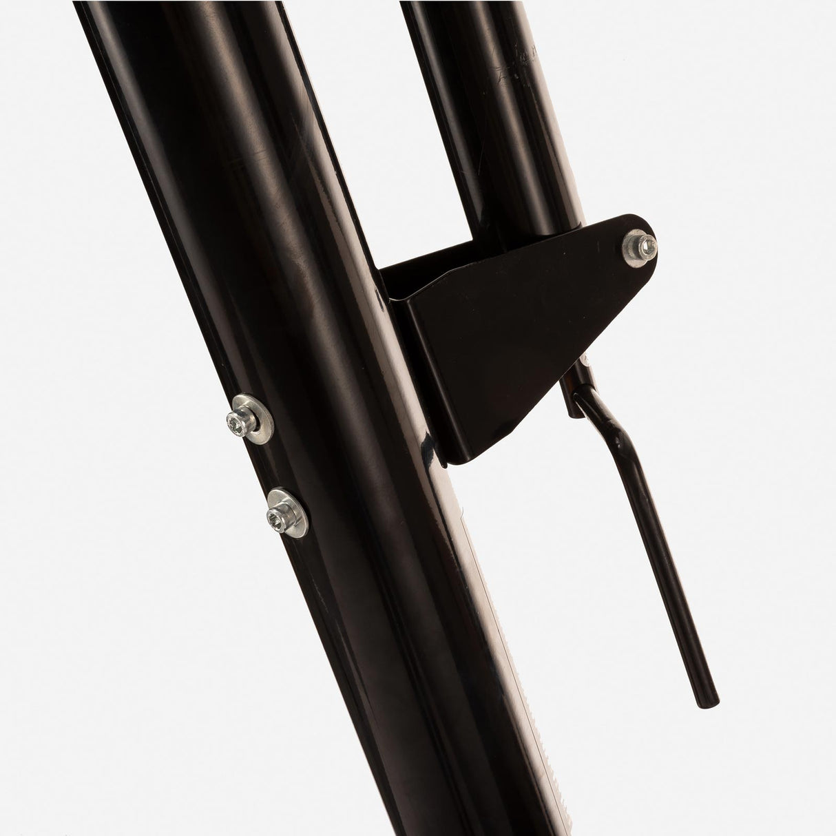 Rival Boston Basketball Stand