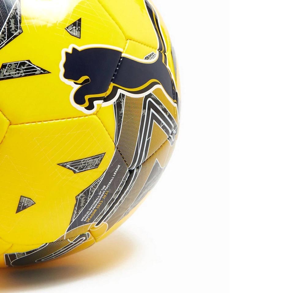 Puma Orbita 6 SPFL 2023/2024 Football