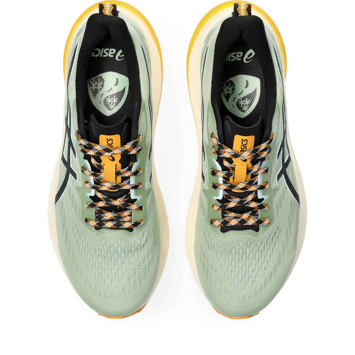 Asics GT-2000 12 TR Mens Running Shoes