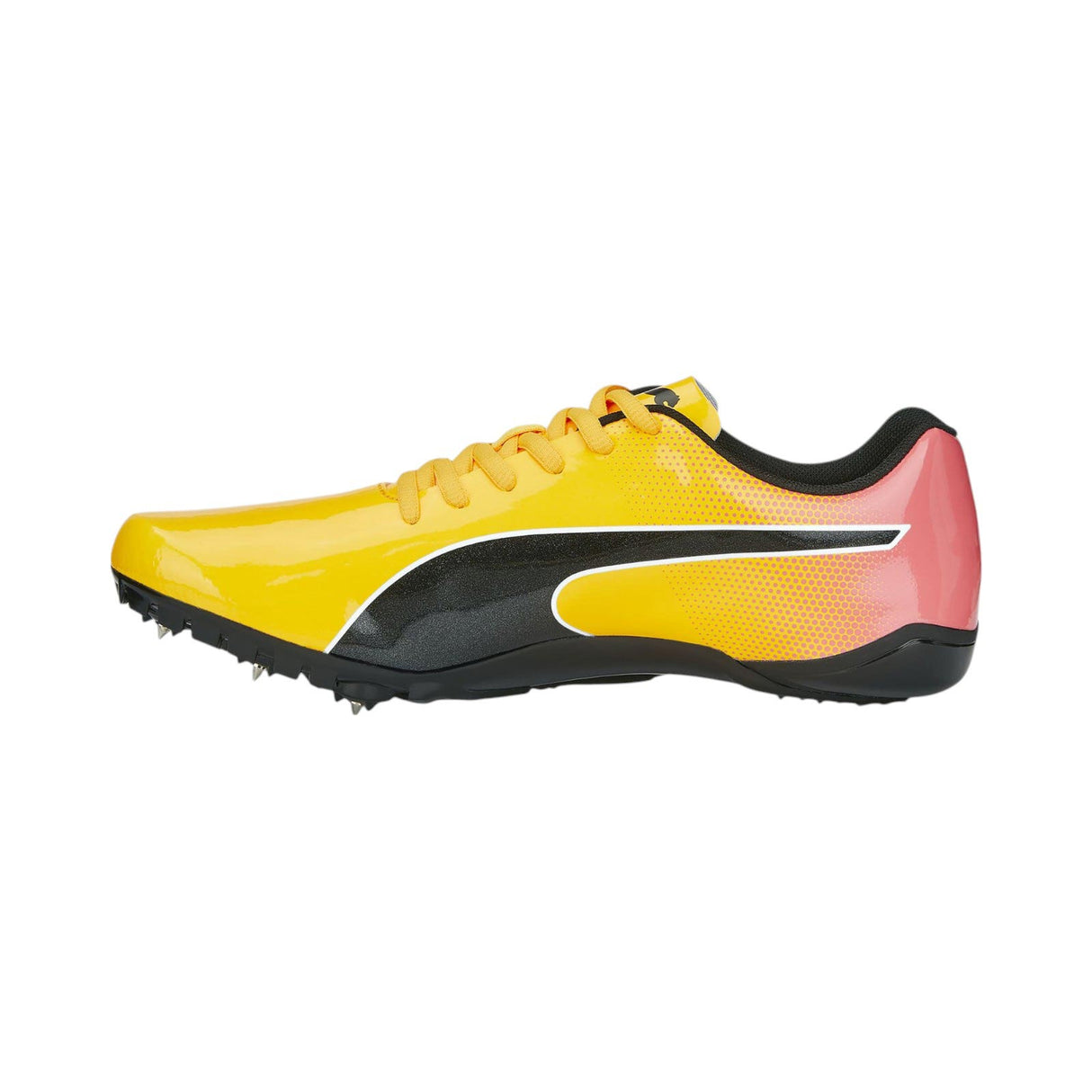 Puma PUMA Caven 2.0 Lux SD Sneakers