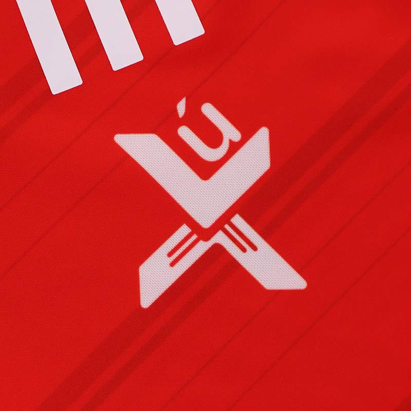 O'Neills Louth GAA 2024 Home Jersey