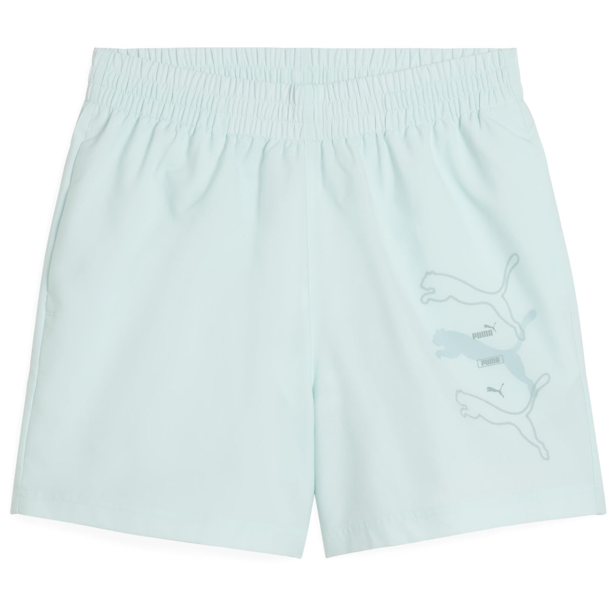 Puma Essentials Logo Lab Mens 5" Regular-Fit Training Short