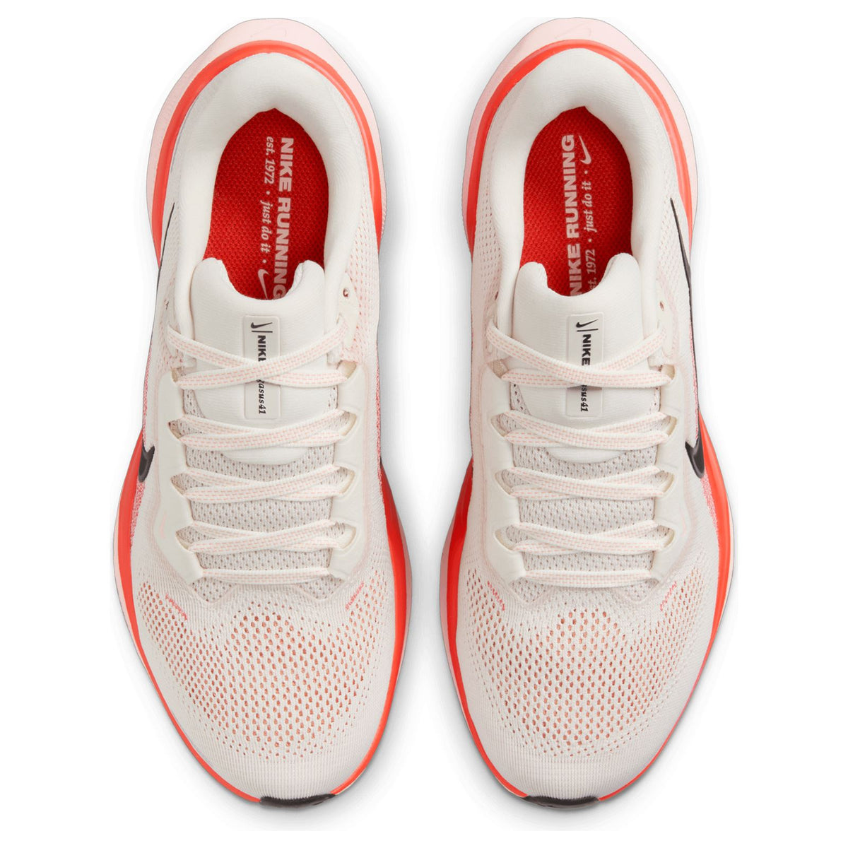 Nike Pegasus 41 Womens Grey