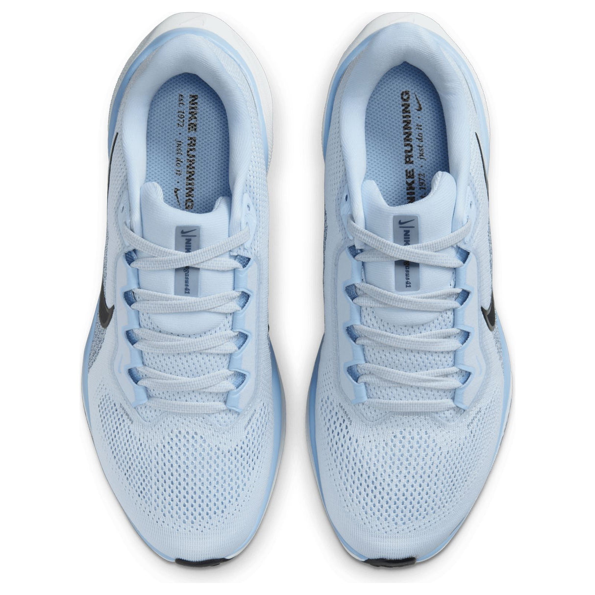 Nike Pegasus 41 Womens Blue