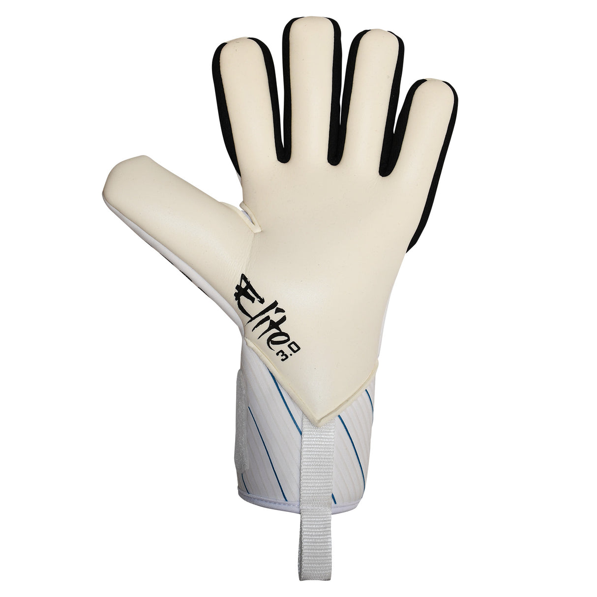 Precision Elite 3.0 Giga GK Gloves White
