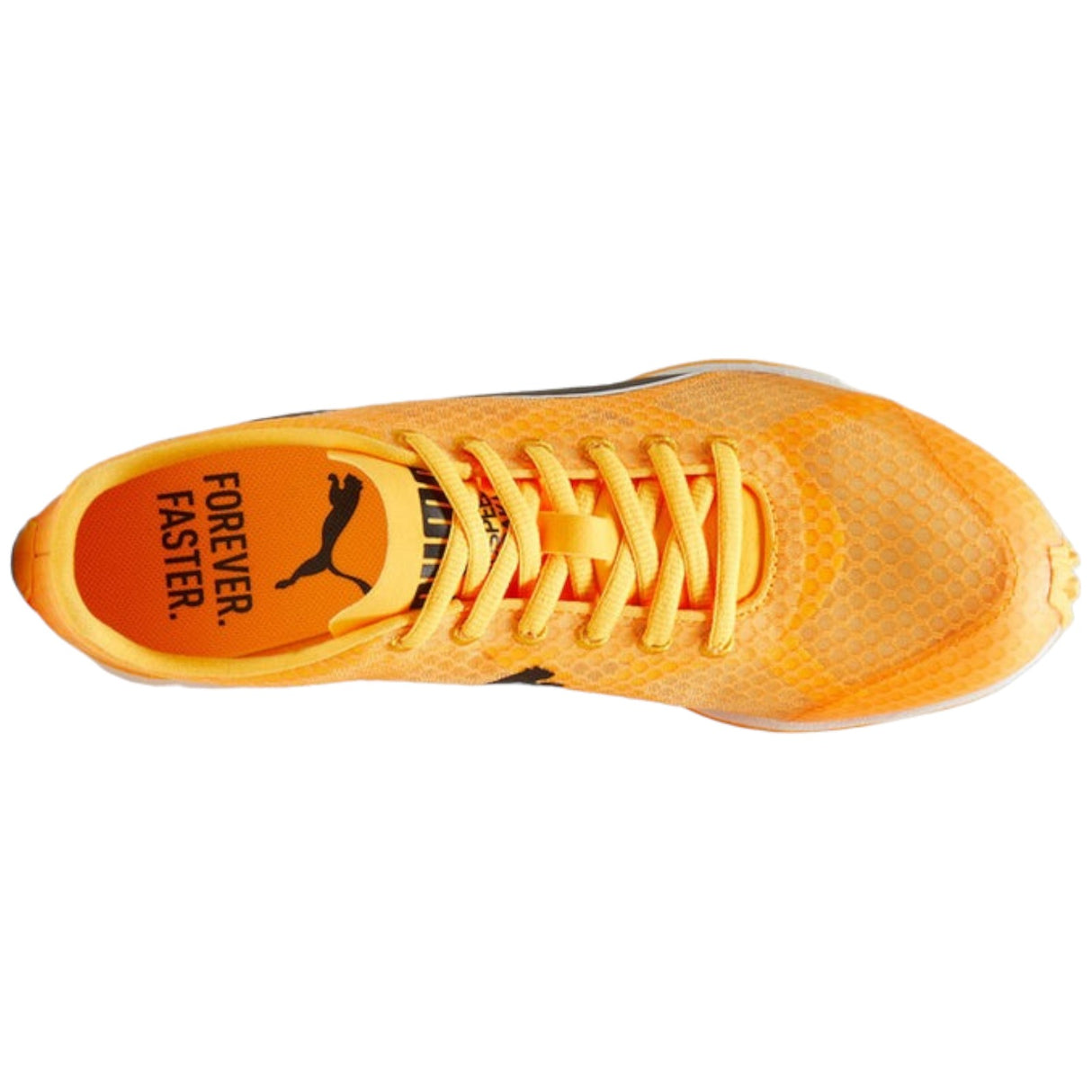 Puma Evospeed Haraka 8 Mens Running Shoe