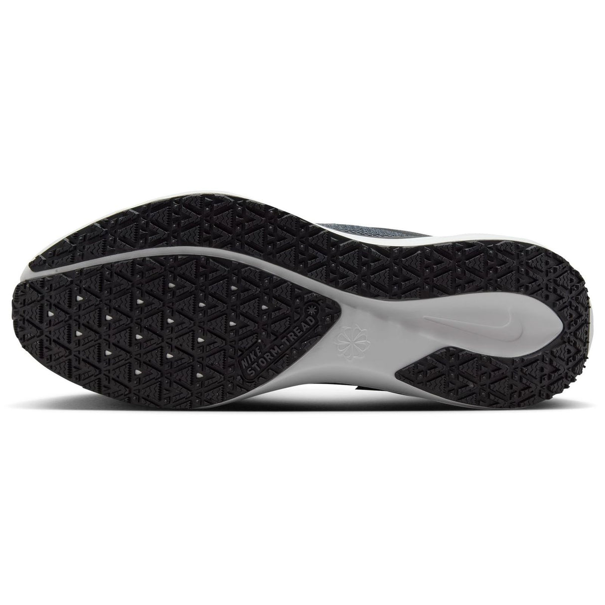 Nike Mens Pegasus 41 GTX Grey
