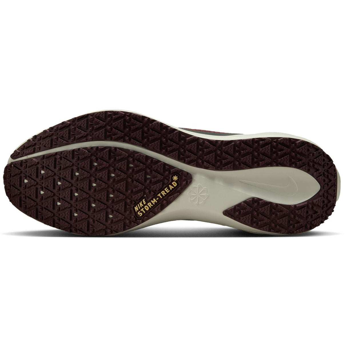 Nike Mens Pegasus 41 GTX Grey