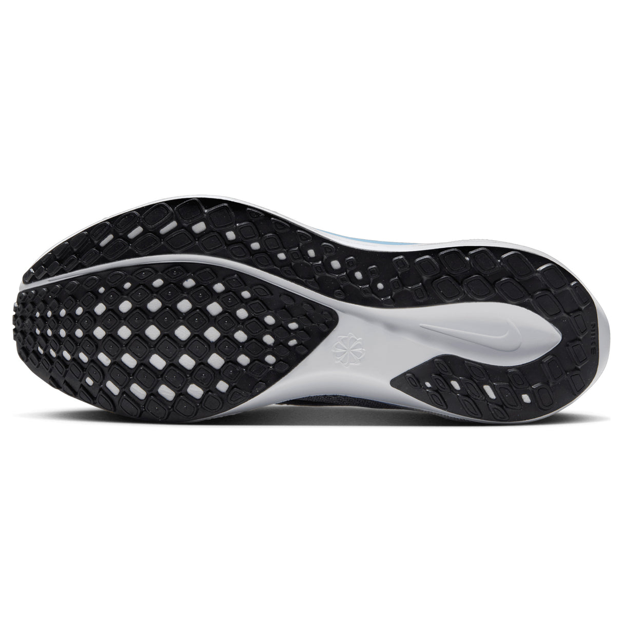 Nike Pegasus 41 Womens Blue