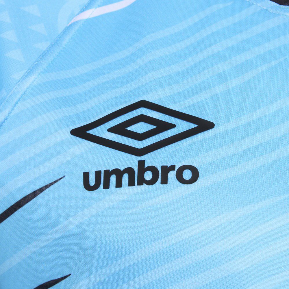 Umbro Fiji 7s Rugby 2025/26 Short Sleeved Away Replica Jersey Front View Close-Up Umbro Branding View