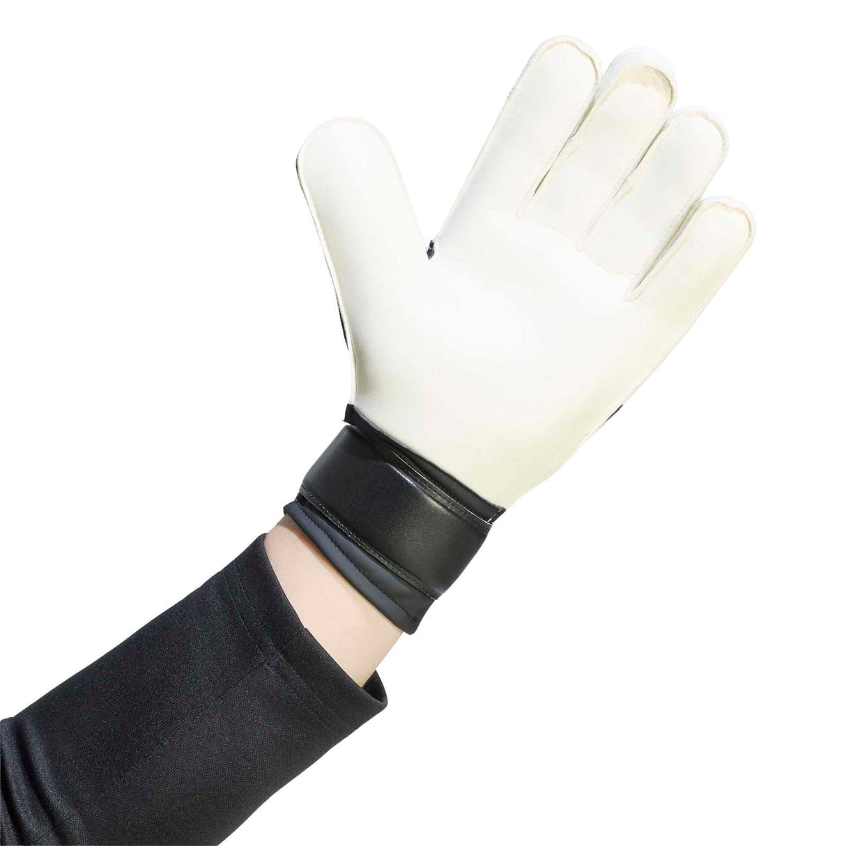 adidas Predator GK Train Glove White