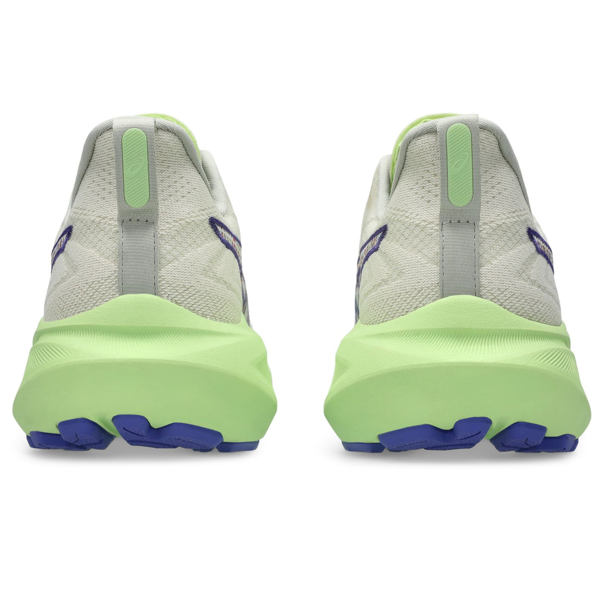 Asics GT-1000 13 Mens Running Shoes