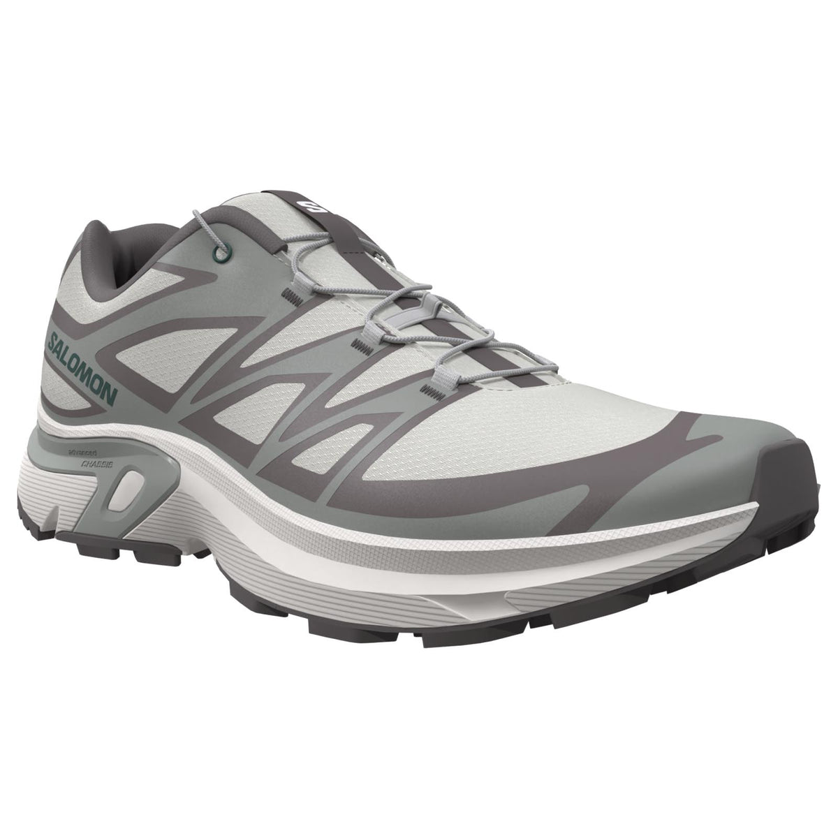 Salomon XT EVR M Grey