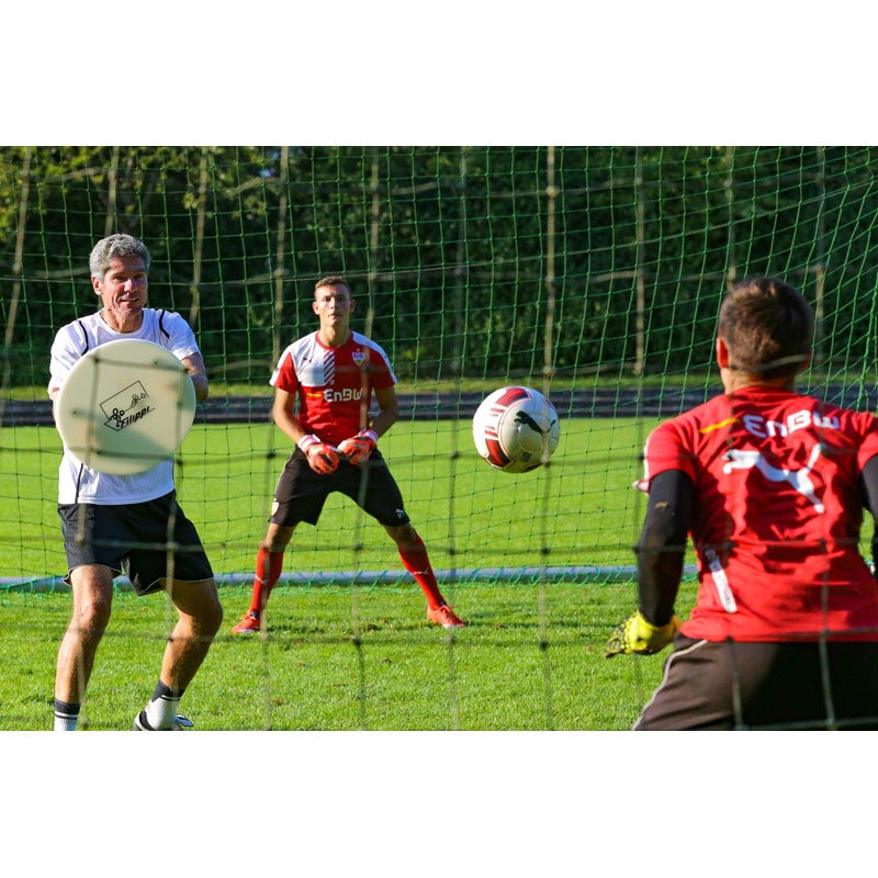 MGT Sports Filippi Shield