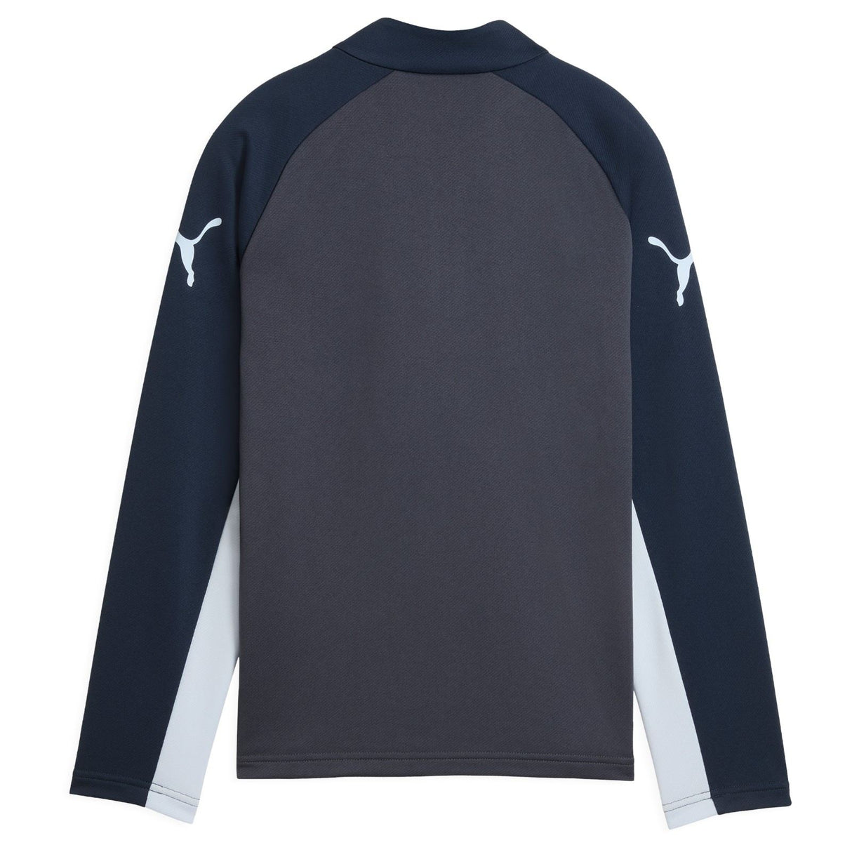 Puma Boys IndividualLIGA QZ Top Grey